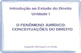 Introdução ao Estudo do Direito Unidade I O FENÔMENO JURÍDICO: CONCEITUAÇÕES DO DIREITO Augusto Henrique Lio Horta.