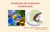Avaliação de Impactos Ambientais Disciplina: Legislação Agrária e Ambiental Profa. Vanessa Lima.