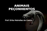 Prof. Erika Meirelles de Castro.  Animais peçonhentos são aqueles que produzem substância tóxica e apresentam um aparelho especializado para inoculação.