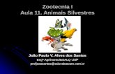 Zootecnia I Aula 11. Animais Silvestres João Paulo V. Alves dos Santos Engº Agrônomo/ESALQ-USP profjoaosantos@eduvaleavare.com.br.