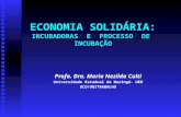 ECONOMIA SOLIDÁRIA: INCUBADORAS E PROCESSO DE INCUBAÇÃO Profa. Dra. Maria Nezilda Culti Universidade Estadual de Maringá- UEM DCO/UNITRABALHO.
