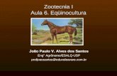 Zootecnia I Aula 6. Eqüinocultura João Paulo V. Alves dos Santos Eng° Agrônomo/ESALQ-USP profjoaosantos@eduvaleavare.com.br.
