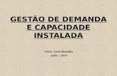 GESTÃO DE DEMANDA E CAPACIDADE INSTALADA Profa. Carla Brandão Julho / 2014.