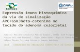 Expressão imuno histoquímica da via de sinalização APC/GSK3beta-catenina no tecido do adenoma colorretal Autores: Mariane Antonieta Menino Campos, Hélio.