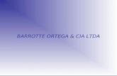 BARROTTE ORTEGA & CIA LTDA. Desde 1956 a BARROTTE atua no mercado de Ferramentaria, Estamparia,Galvanoplástia e Pintura Epoxi. Somos certificados pela.