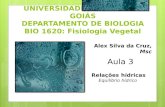 UNIVERSIDADE CATÓLICA DE GOIÁS DEPARTAMENTO DE BIOLOGIA BIO 1620: Fisiologia Vegetal Alex Silva da Cruz, Msc Relações hídricas Equilíbrio hídrico.