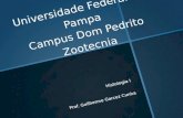 Universidade Federal do Pampa Campus Dom Pedrito Zootecnia Histologia I Prof. Guilherme Garcez Cunha.