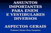 ASSUNTOS IMPORTANTES PARA ENEM E VESTIBULARES DIVERSOS ASPECTOS GERAIS Professor Marlos Pires Gonçalves.