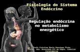 Fisiologia do Sistema Endócrino Regulação endócrina no metabolismo energético Profa Cristina Maria Henrique Pinto Profa. Dra. Associada III do Depto. Ciências.
