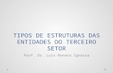 TIPOS DE ESTRUTURAS DAS ENTIDADES DO TERCEIRO SETOR Prof. Dr. Luiz Renato Ignarra.