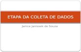Janice Janissek de Souza ETAPA DA COLETA DE DADOS.