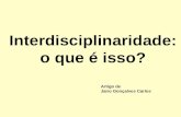 Interdisciplinaridade: o que é isso? Artigo de Jairo Gonçalves Carlos.