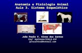 Anatomia e Fisiologia Animal Aula 3. Sistema Esquelético João Paulo V. Alves dos Santos Eng° Agrônomo/ESALQ-USP jpvasantos@hotmail.com.