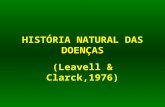 HISTÓRIA NATURAL DAS DOENÇAS (Leavell & Clarck,1976)