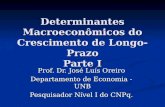 Determinantes Macroeconômicos do Crescimento de Longo-Prazo Parte I Prof. Dr. José Luís Oreiro Departamento de Economia - UNB Pesquisador Nível I do CNPq.
