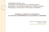 SEMINÁRIO REUNI / UFV O DESAFIO DA FORMAÇÃO DE PROFESSORES: Parâmetros Curriculares Nacionais, Estágios, Projeto Pedagógico Institucional e Mercado de.