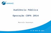 Audiência Pública Operação COPA 2014 Marcelo Guaranys 21 de maio de 2014.
