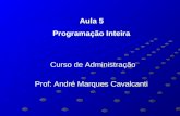 Aula 5 Programação Inteira Curso de Administração Prof: André Marques Cavalcanti.