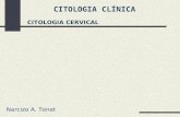CITOLOGIA CLÍNICA Narcizo A. Tonet CITOLOGIA CERVICAL.