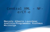 Marcelo Alberto Lauschner Analista/Programador Protheus Microsiga.