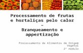 Processamento de frutas e hortaliças pelo calor – Branqueamento e appertização Processamento de Alimentos de Origem Vegetal 2º modulo.