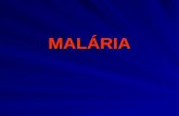 MALÁRIA. MALÁRIA A malária é uma doença de conhecimento A malária é uma doença de conhecimento médico muito antigo (Hipócrates, 460-370 a.C.) e popular,