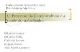 Universidade Federal do Ceará Faculdade de Medicina Eduardo Gomes Eduardo Nolla Gabriela Lemos Iatagan Josino João Victor Loureiro O Processo da Carcinicultura.