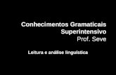 Conhecimentos Gramaticais Superintensivo Prof. Seve Leitura e análise linguística.