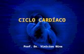 CICLO CARDÍACO Prof. Dr. Vinicius Nina. O Coração Como Bomba.