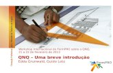QNQ – Uma breve introdução Edda Grunwald, Guido Lotz Workshop Internacional do FormPRO sobre o QNQ, 21 a 22 de Fevereiro de 2013.