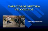 1 CAPACIDADE MOTORA VELOCIDADE Prof. Dr. Hugo Tourinho Filho.