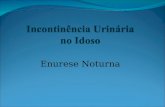 Enurese Noturna. Incontinência Urinária (IU) Sociedade Internacional de Incontinência: - Condição na qual a perda involuntária de urina é um problema.