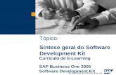 Tópico: Síntese geral do Software Development Kit Currículo de E-Learning SAP Business One 2005 Software Development Kit Tópico: Síntese geral do Software.