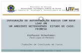 PESQUISADOR: CASSIANO DALCIN / 2010 Trabalho de Conclusão de Curso MINISTÉRIO DA EDUCAÇÃO Ministério da Educação Universidade Tecnológica Federal do Paraná.