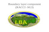 Boundary layer component (RACCI -SG3). Estratégia de coleta de dados 4 sítios experimentais de RS (Abracos, Rebio Jaru, Porto Velho e Guajará-Mirim) Sondagens.
