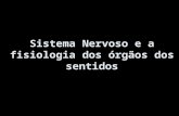 Sistema Nervoso e a fisiologia dos órgãos dos sentidos.