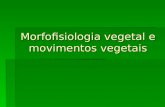 Morfofisiologia vegetal e movimentos vegetais. Organologia vegetal O corpo das plantas traqueófitas é dividido em três grandes partes:  Raiz;  Caule;