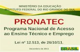 MINISTÉRIO DA EDUCAÇÃO INSTITUTO FEDERAL DO RIO GRANDE DO SUL PRONATEC Programa Nacional de Acesso ao Ensino Técnico e Emprego Lei nº 12.513, de 26/10/11.
