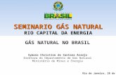 SEMINARIO GÁS NATURAL RIO CAPITAL DA ENERGIA GÁS NATURAL NO BRASIL Symone Christine de Santana Araújo Diretora do Departamento de Gás Natural Ministério