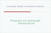 Concepção, Gestão e Avaliação de Projectos Projectos em Animação Sociocultural.