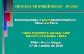 OFICINA TRANSGÊNICOS - INCRA Biossegurança e (Agro)Biodiversidade: Ciência e Ética Paulo Kageyama. ESALQ. USP Membro da CTNBio / MMA FSM – Porto Alegre.