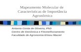 Mapeamento Molecular de Características de Importância Agronômica Antonio Costa de Oliveira, PhD Centro de Genômica e Fitomelhoramento Faculdade de Agronomia.