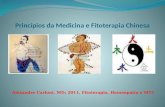 Princípios da Medicina e Fitoterapia Chinesa Alexandre Carloni, MD; 2011, Fitoterapia, Homeopatia e MTC.