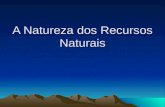 A Natureza dos Recursos Naturais. Quais são os Recursos Naturais? Quais são os Recursos Naturais? De onde vem? Que precisa alem das matérias primas?