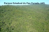 Parque Estadual do Pau Furado -MG. Apresentação: A implantação do Parque Estadual do Pau Furado foi uma medida compensatória aos impactos provocados pela.