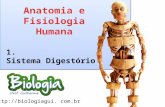 Http://biologiagui. com.br 1. Sistema Digestório.