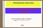 Prof. Dr. Marco Aurélio A. Monteiro e-mail: marco.aurelio@feg.unesp.br e-mail: marco.aurelio@feg.unesp.brmarco.aurelio@feg.unesp.br PROGRAMA REAÇÃO COMO.