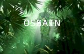 OSSAIN. OSSAIN Osanyin é a entidade das folhas sagradas, ervas medicinais e litúrgicas, identificado no jogo do merindilogun pelo odu iká e representado.