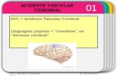 WINTER Template 01 AVC = Acidente Vascular Cerebral Linguagem popular = “trombose” ou “derrame cerebral” Enf.ª Sandra Godinho 24 Novembro 2012 ACIDENTE.