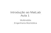 Introdução ao MatLab Aula 1 Multimédia Engenharia Biomédica.